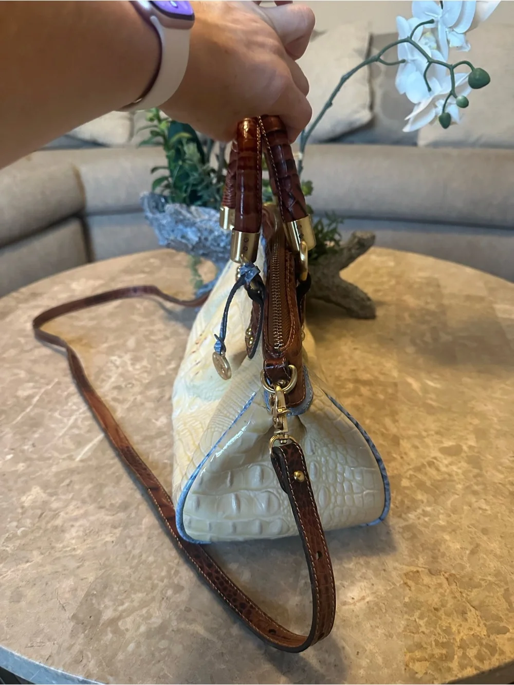 Brahmin elegant croc